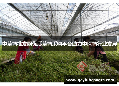 中草药批发网优质草药采购平台助力中医药行业发展